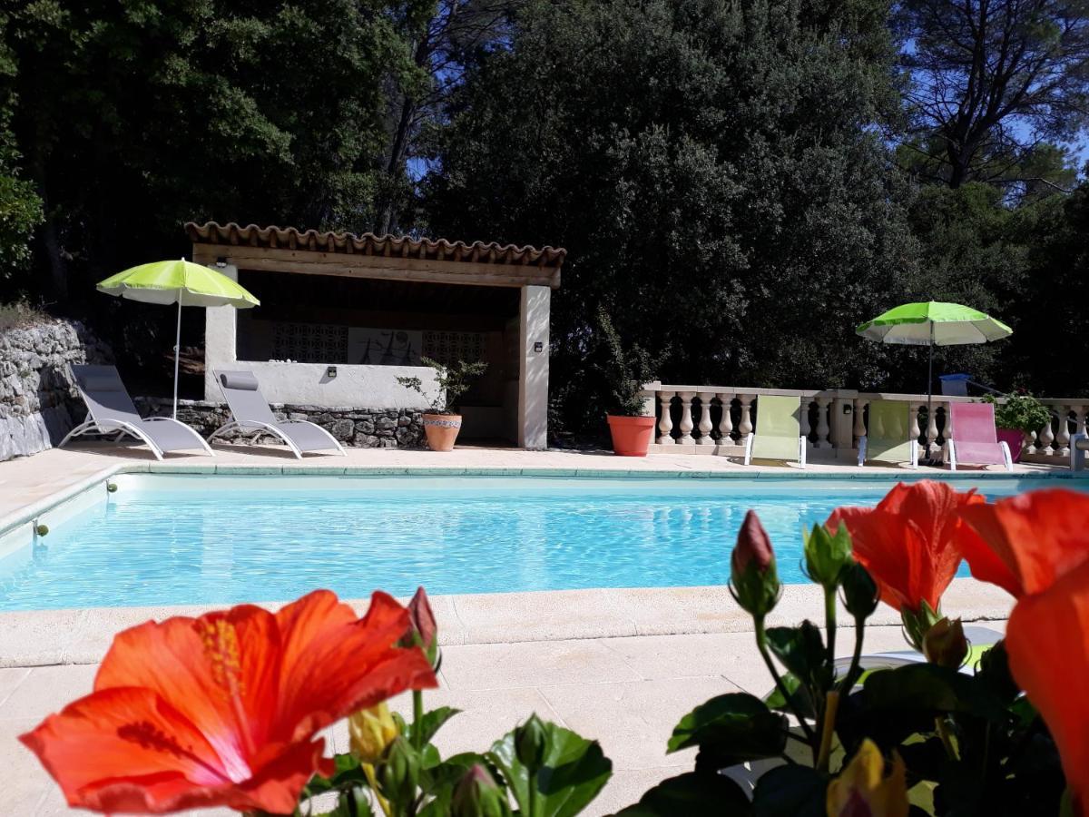 Le Mas des Hibiscus Trans-en-Provence Exterior foto