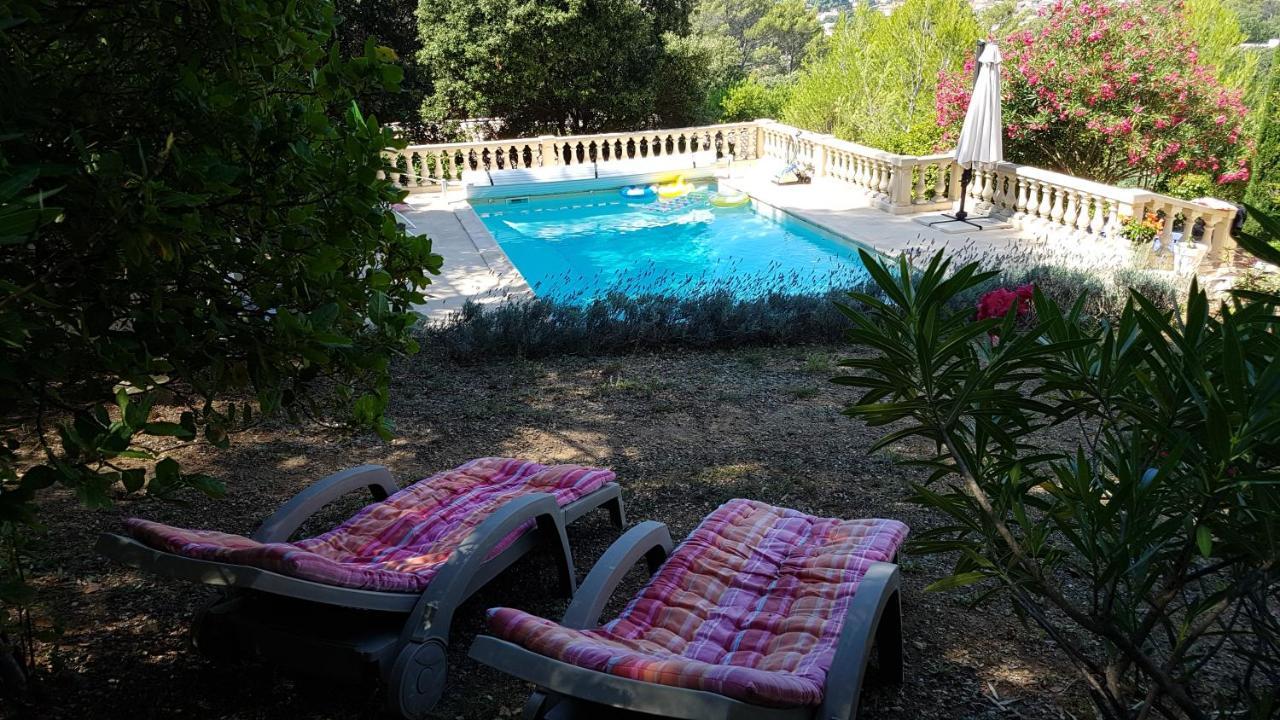 Le Mas des Hibiscus Trans-en-Provence Exterior foto
